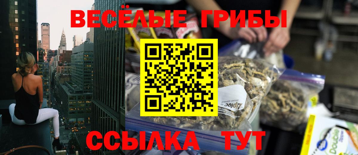 Артёмовский  Галлюциногенные грибы MAGIC MUSHROOMS  Галлюциногенные грибы Cubensis  Вход с VPN 